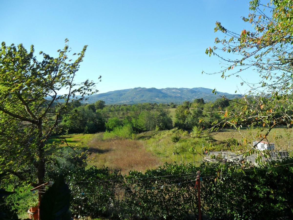 Tre Querce Di Guerrini Patrizia